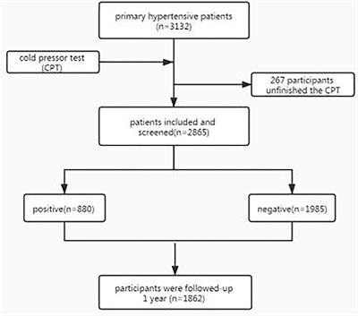 Cold Pressor Test in Primary Hypertension: A Cross-Sectional Study